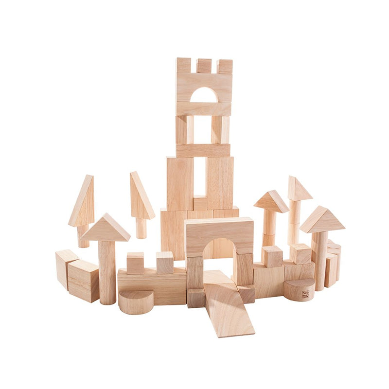 Plan Toys | 50 Unit Blocks
