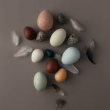 A dozen bird eggs wooden toys play set 
