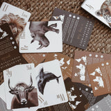 Modern Monty Animal Alphabet Flash Cards | Play Planet | Eco-friendly Educational Toys 