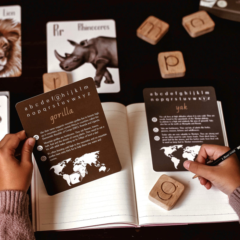 Modern Monty Animal Alphabet Flash Cards | Play Planet | Eco-friendly Educational Toys 