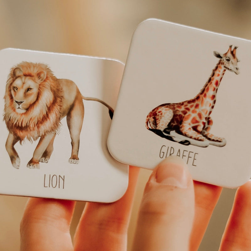 Modern Monty Africa Memory Card Game - Play Planet