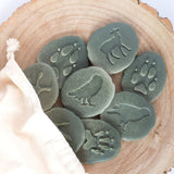 Play Planet | Let's Investigate Woodland Animal Footprints Playdough Stamp by Yellowdoor
